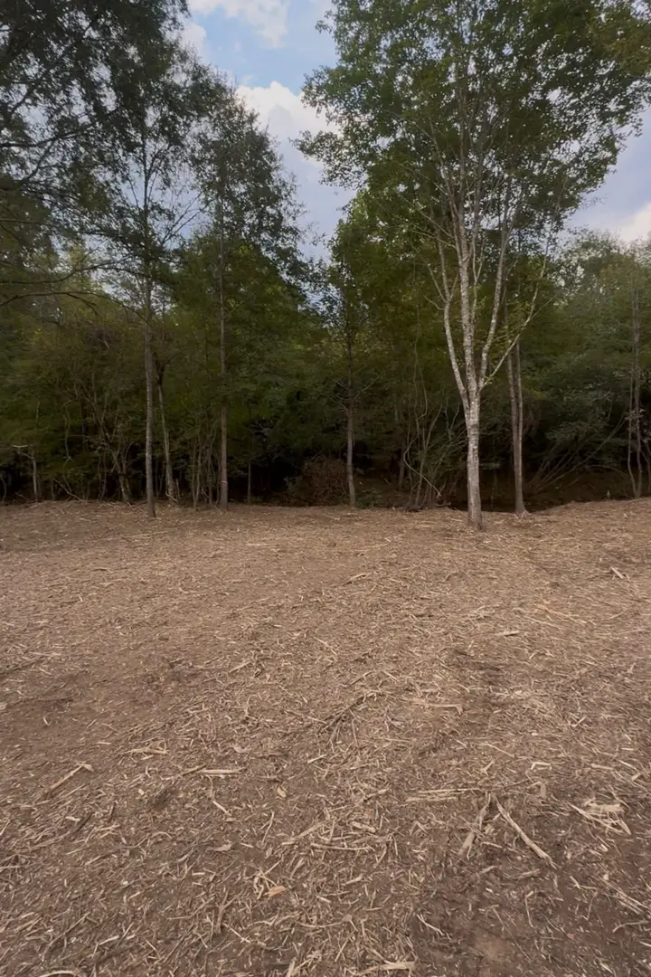 Cleared ground covered in fresh mulch after a Treeline job